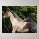 Search for headshot posters Mare
