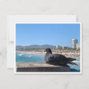 Search for santa monica postcards Photography