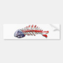 Search for skeleton bumper stickers Bones