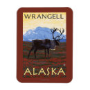 Search for wrangell magnets Collection