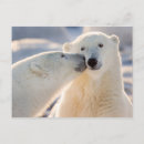 Search for manitoba cards Winter