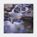 Search for creek magnets Usa
