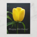 Search for happy birthday tulips postcards Yellow