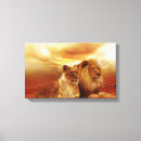 Search for male photography Lion