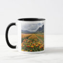 Search for near mugs Orange