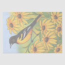 Search for oriole gift wrap Wildlife