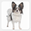 Search for papillon stickers Puppy