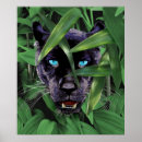 Search for stalking posters Wildlife