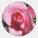 Search for rose garden stickers Nature