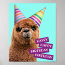 Search for alpaca posters Humor