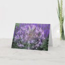 Search for allium Plants