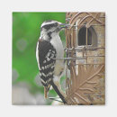 Search for birdhouse magnets Cute