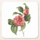Search for common coasters Flower