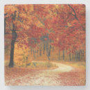 Search for tree coasters Fall