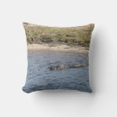 Search for marsh cushions Nature photography