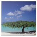 Search for remote tiles Vacation