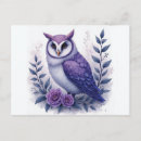 Search for moonlight postcards Owl