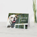Search for soon cards Animal