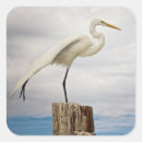 Search for state animal stickers Bird