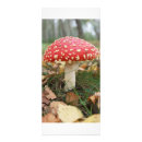 Search for stocking rack cards Red
