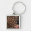 Search for two fish key rings Horizontal