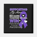 Search for sup magnets Cancer