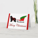 Search for newfoundland christmas cards Newfie