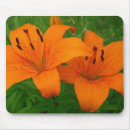 Search for lilies mousepads Lily