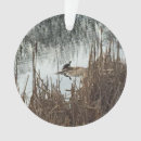 Search for winter solstice christmas tree decorations Nature