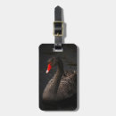 Search for beak accessories Bird