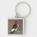 Search for fences key rings Bird