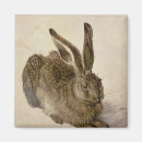 Search for hare magnets Wild