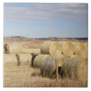 Search for bale tiles Field