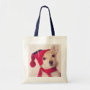 Search for studio shot bags White background