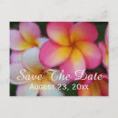 Search for frangipani invitations Flower
