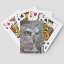 Search for whet Owl