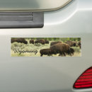 Search for yellowstone bumper stickers Wildlife