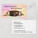 Search for pet photography business cards Pets