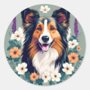 Search for shetland sheepdog stickers Pet