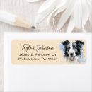 Search for border collie return address labels Dog