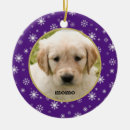 Search for white cat christmas tree decorations Modern