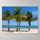 Search for tree key art Palm