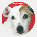 Search for jack terrier stickers Animals