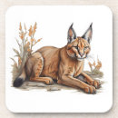 Search for mat it postcards Animal