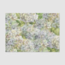 Search for fading Floral