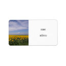 Search for fields labels Summer