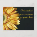 Search for giant flower postcards Yellow