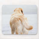 Search for loyalty mousepads Domestic animals