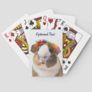 Search for cute guinea pig toy games Rodent