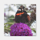 Search for admiration magnets Red